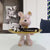 21 cm Graffiti Bear Ornament Figure Decoration Tier Statue